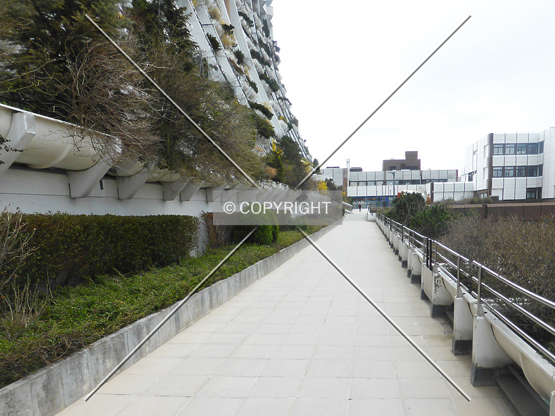 Photo 604-019-245