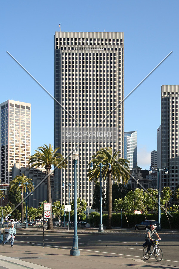 View from the north