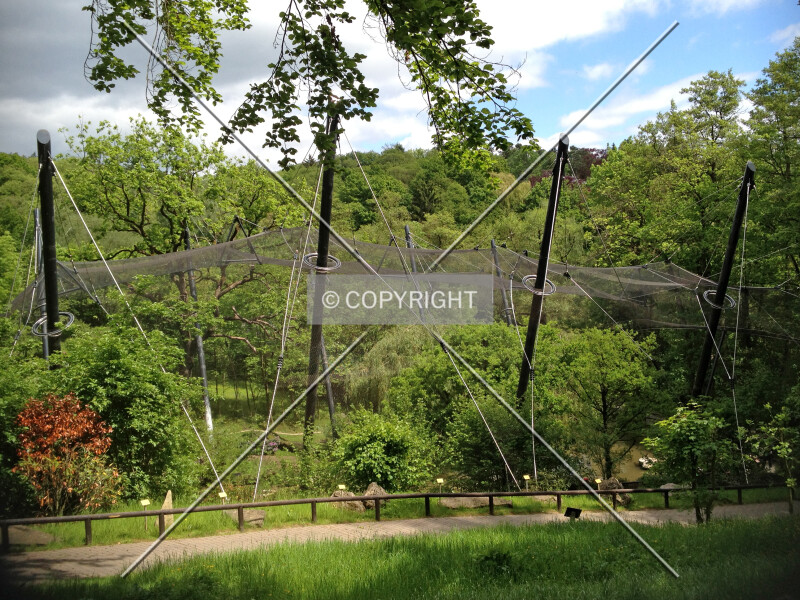 Photo 607-062-763