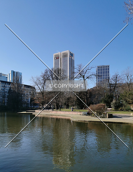 Photo 610-134-477