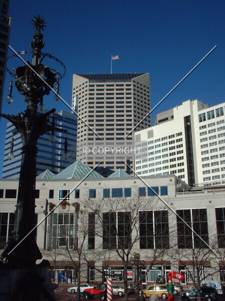 Photo 614-024-798