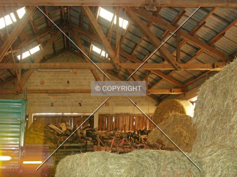 Photo 616-007-797