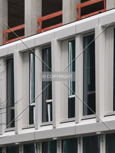 Photo 624-594-482