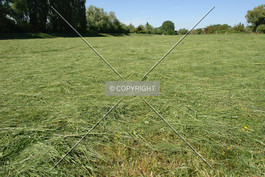Photo 628-156-344