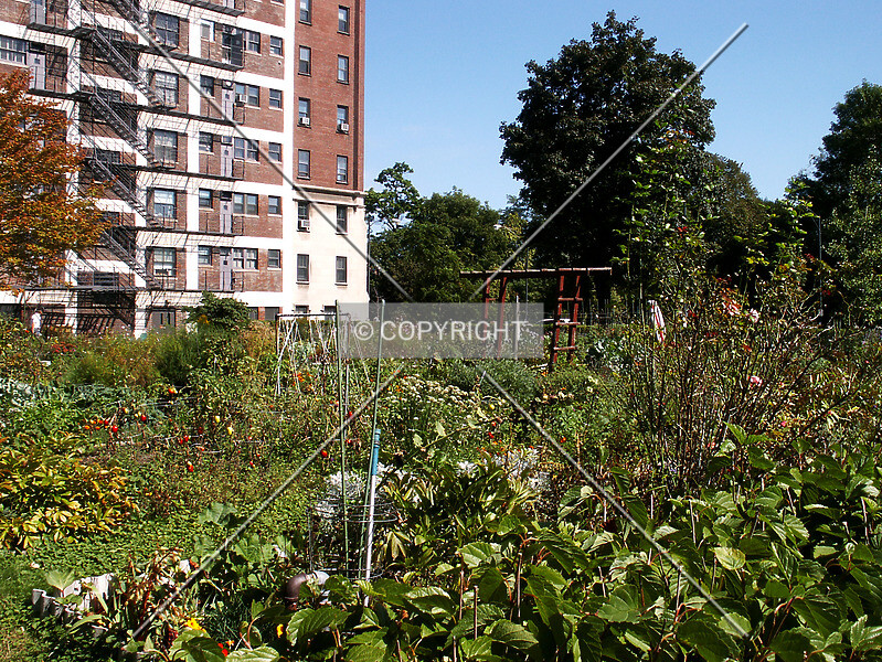 Photo 629-563-363