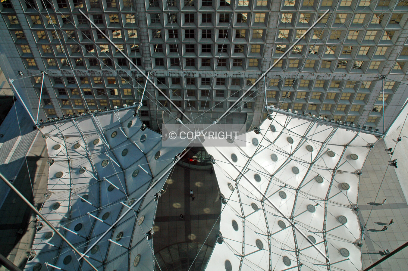 Looking down onto the canopy