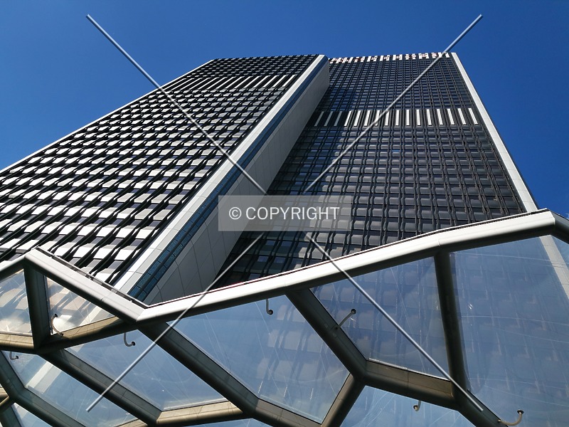 Photo 631-561-384