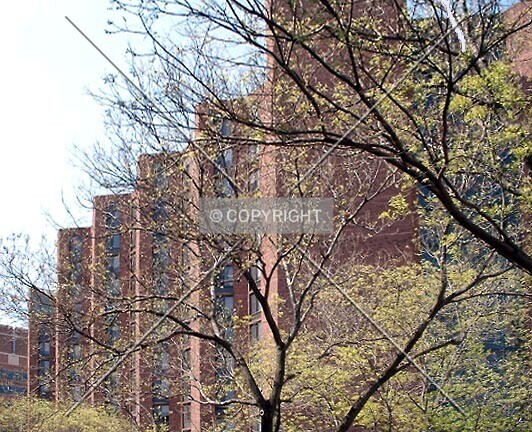 Photo 632-983-257