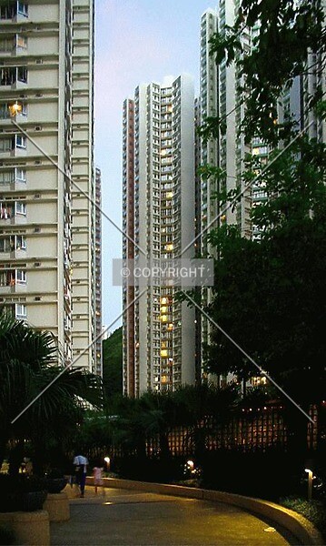 Photo 636-333-896