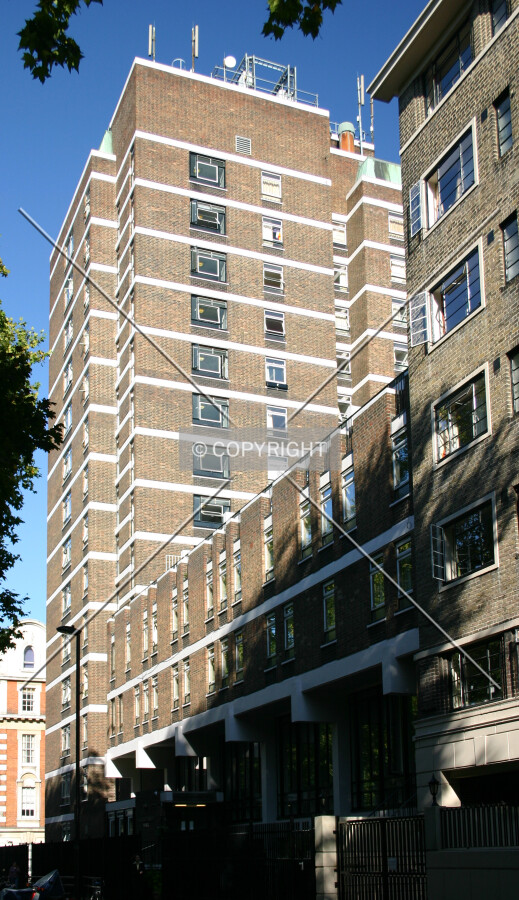 View north from Cartwright Gardens