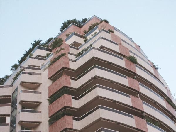 Photo 642-039-286