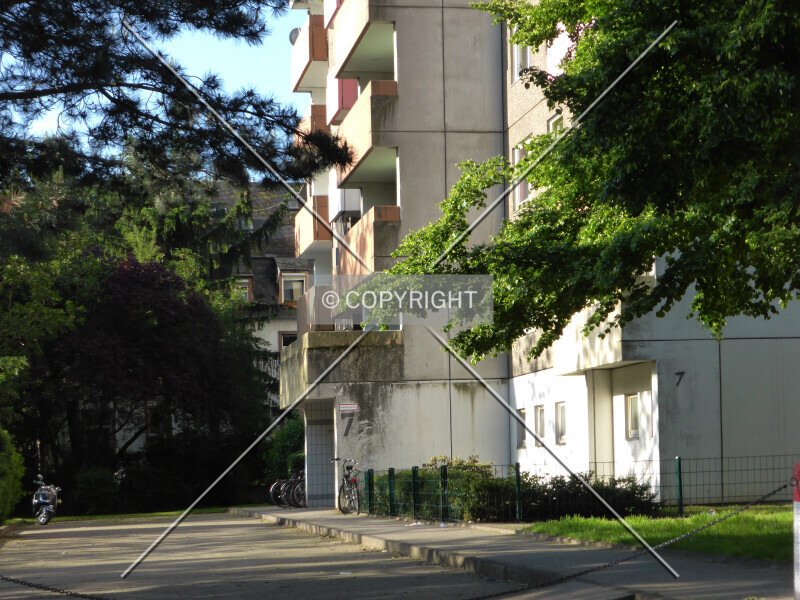 Photo 643-067-813