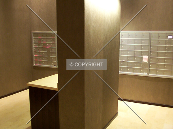 Photo 644-269-087