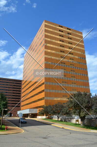 Photo 645-442-393