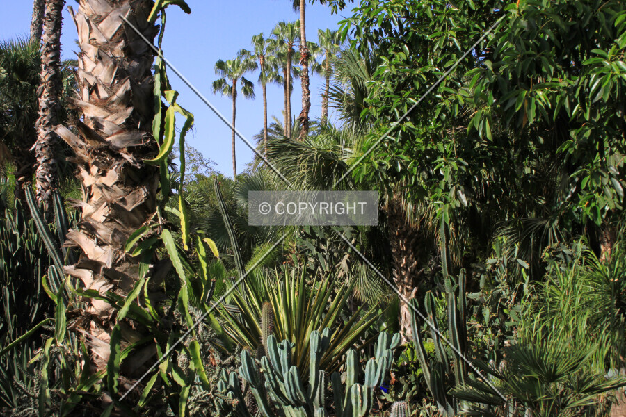 Photo 647-181-077