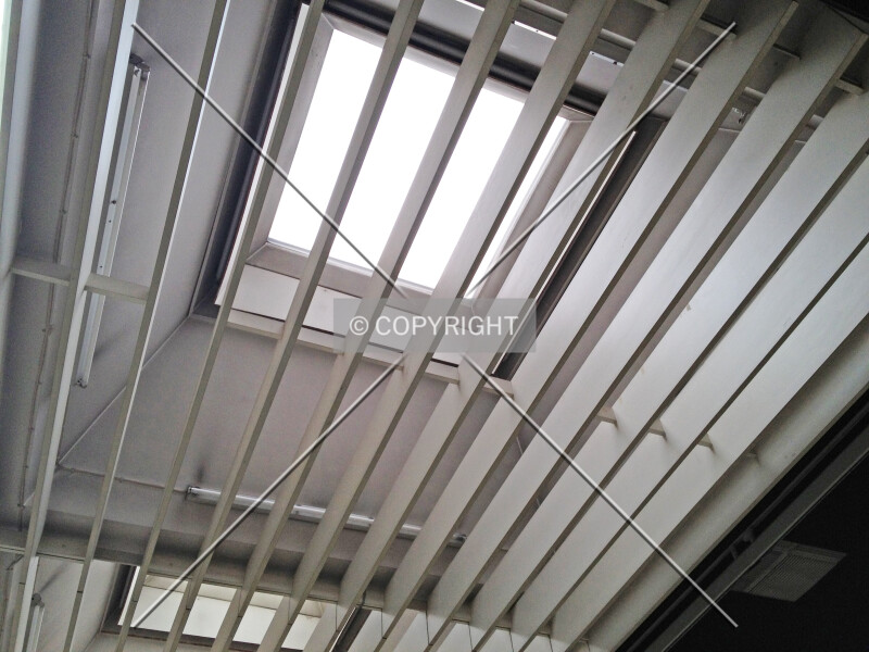 Photo 653-077-446