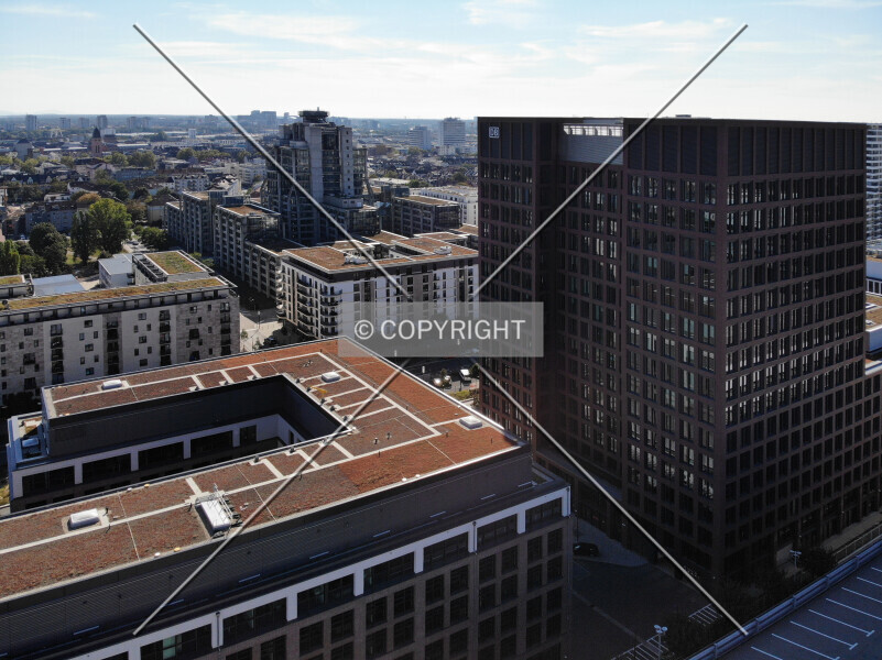 Photo 654-469-927