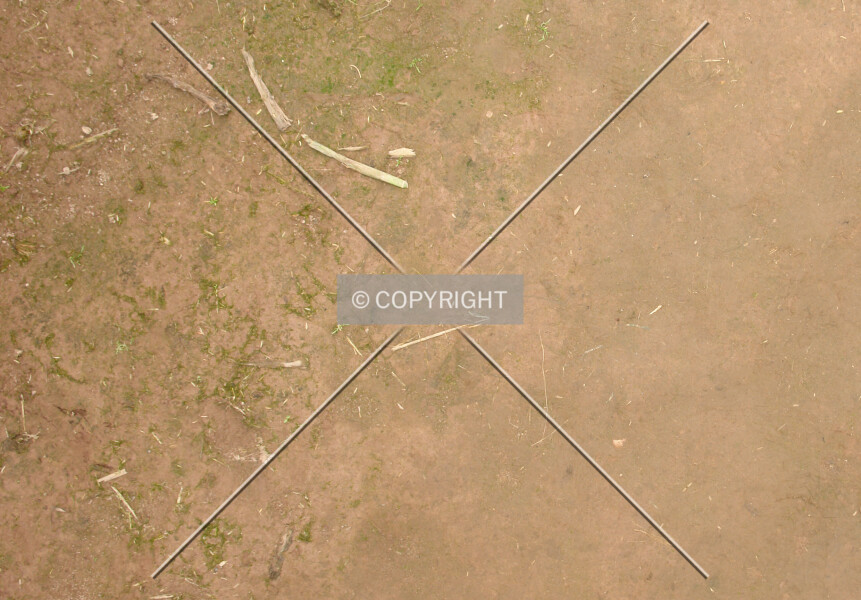 Photo 655-921-975