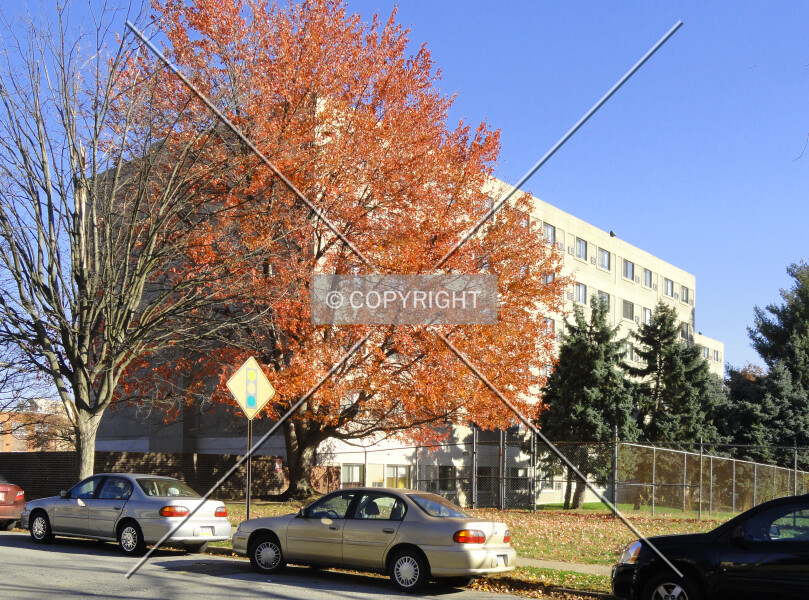 Palmer House Apartments