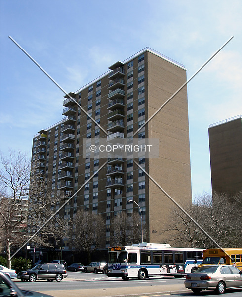 Photo 711-440-536