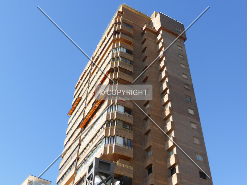 Photo 661-393-821