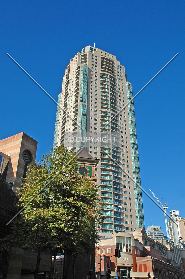 Looking up from Ultimo Road