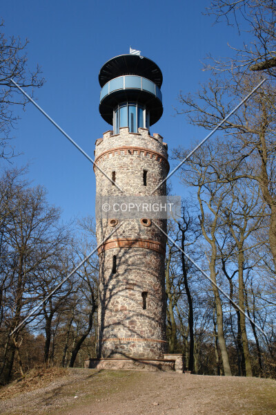 Photo 667-136-792