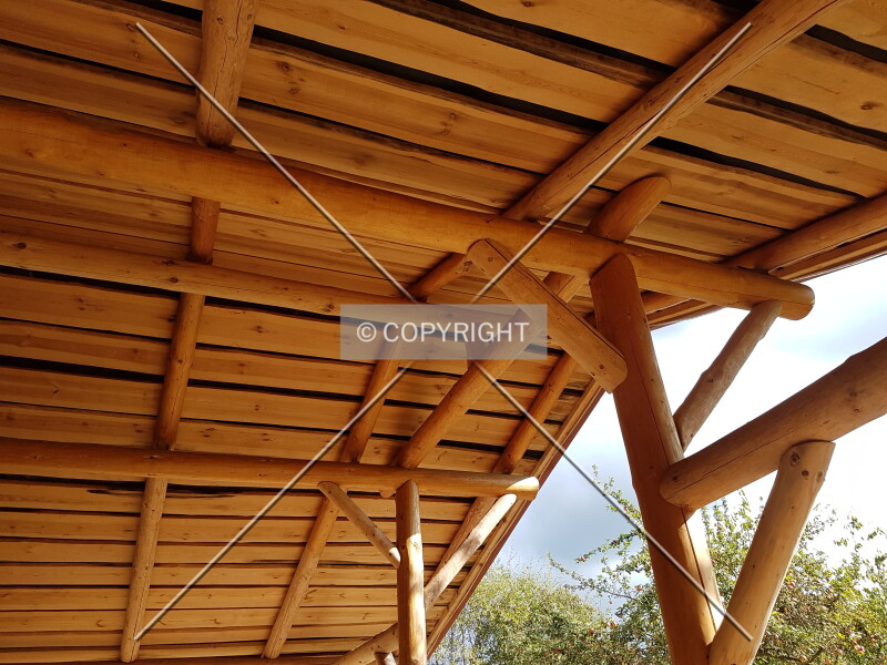 Photo 667-420-685