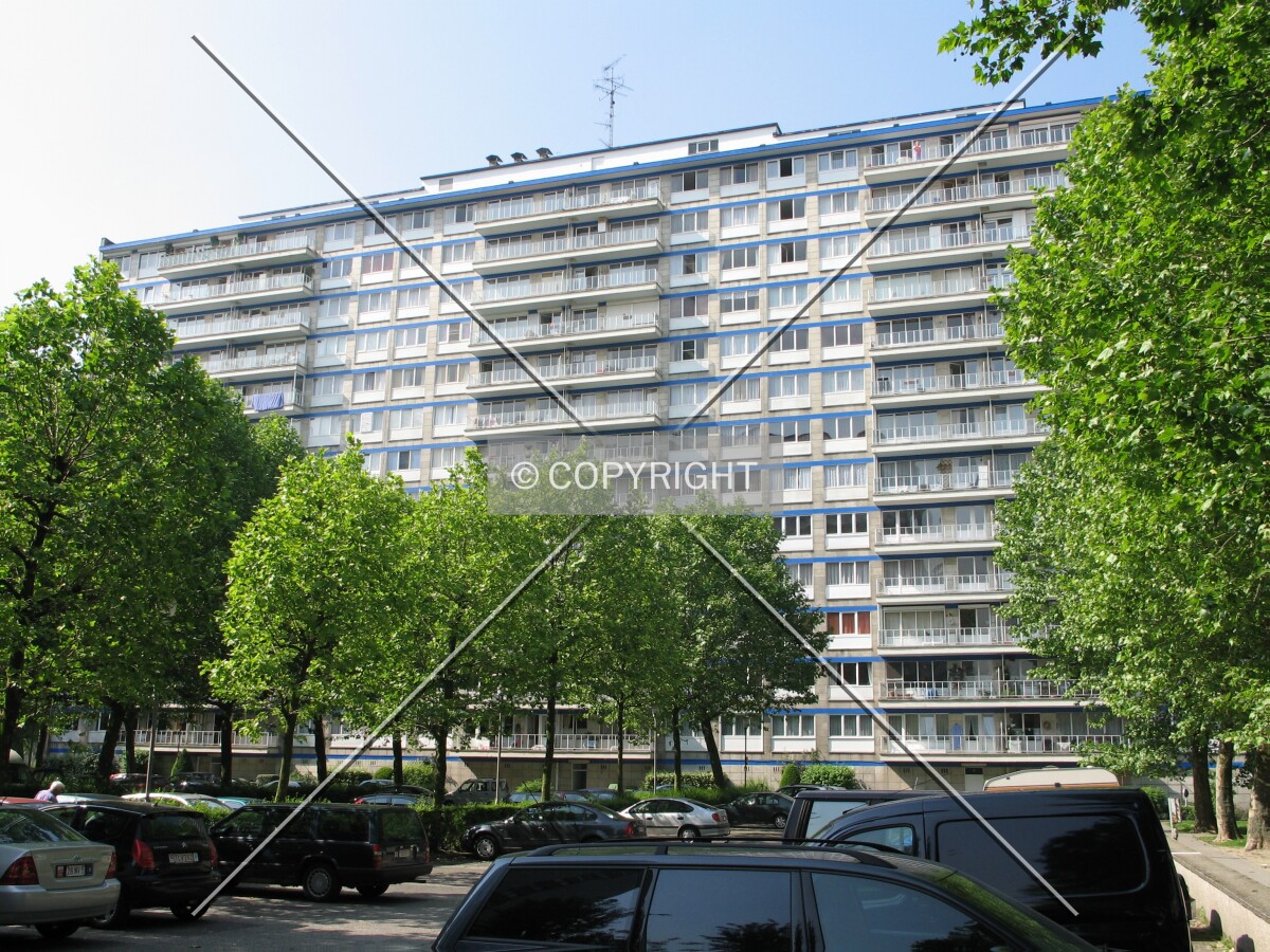 View from the northeast