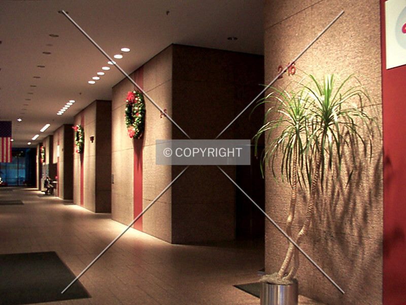 Photo 671-980-416