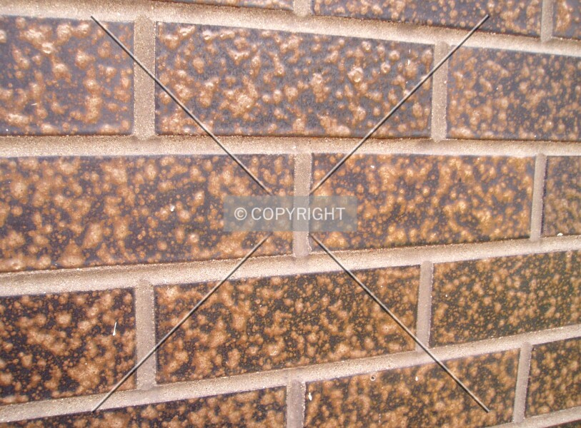 Photo 674-999-903