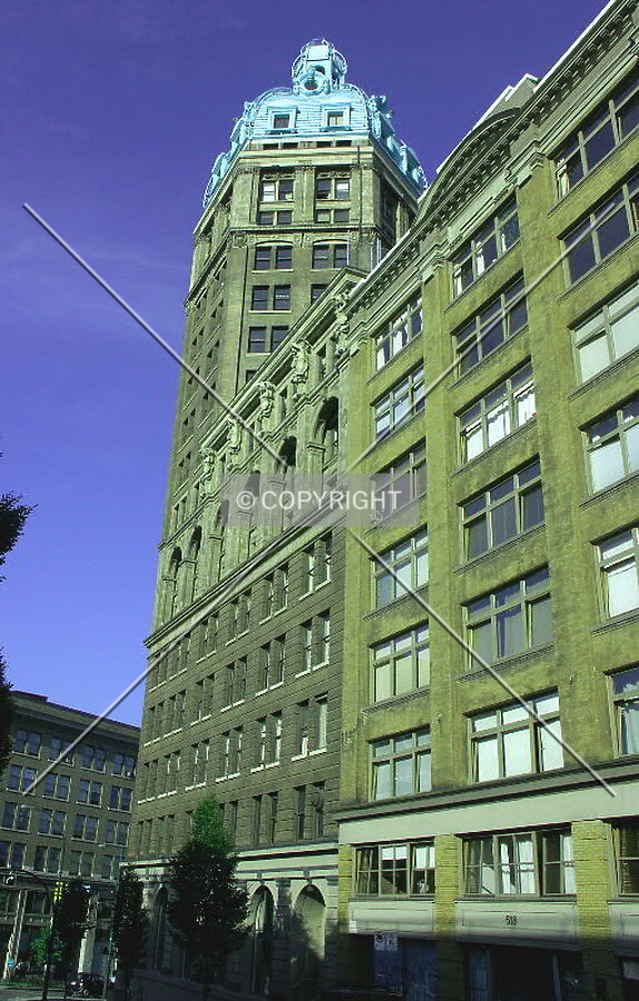 View north along Beatty Street