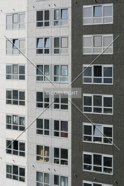 Photo 675-804-077