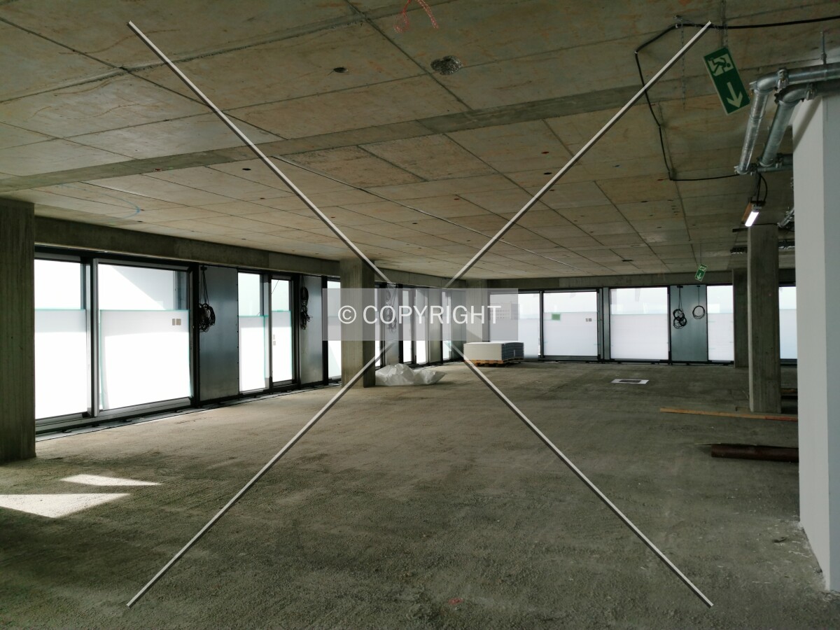Photo 564-119-646