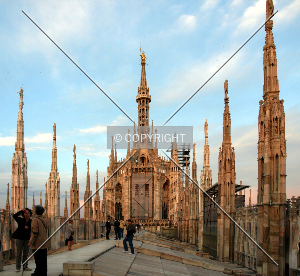 View on the roof