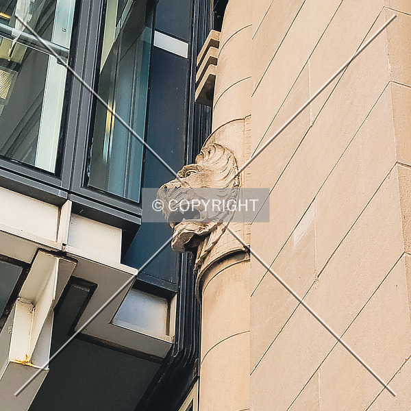Photo 677-709-590