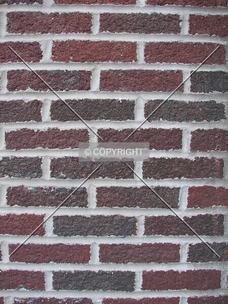 Photo 677-809-811
