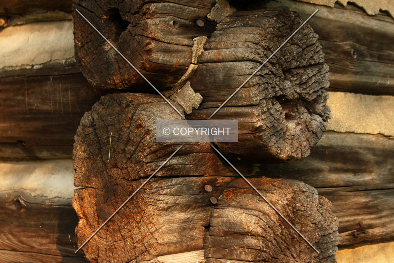 Interlocking logs at the corner