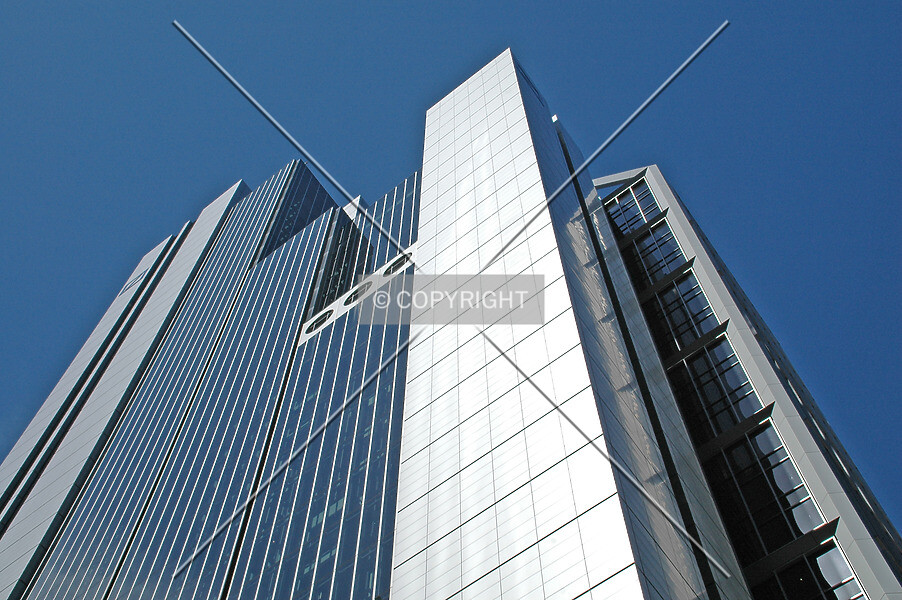 Photo 677-893-446