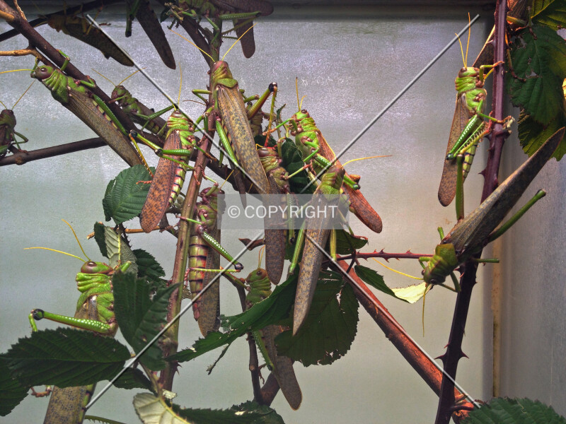 Photo 679-193-912