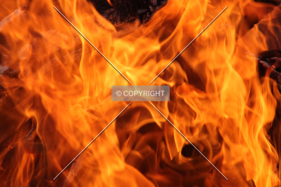 Photo 679-306-254