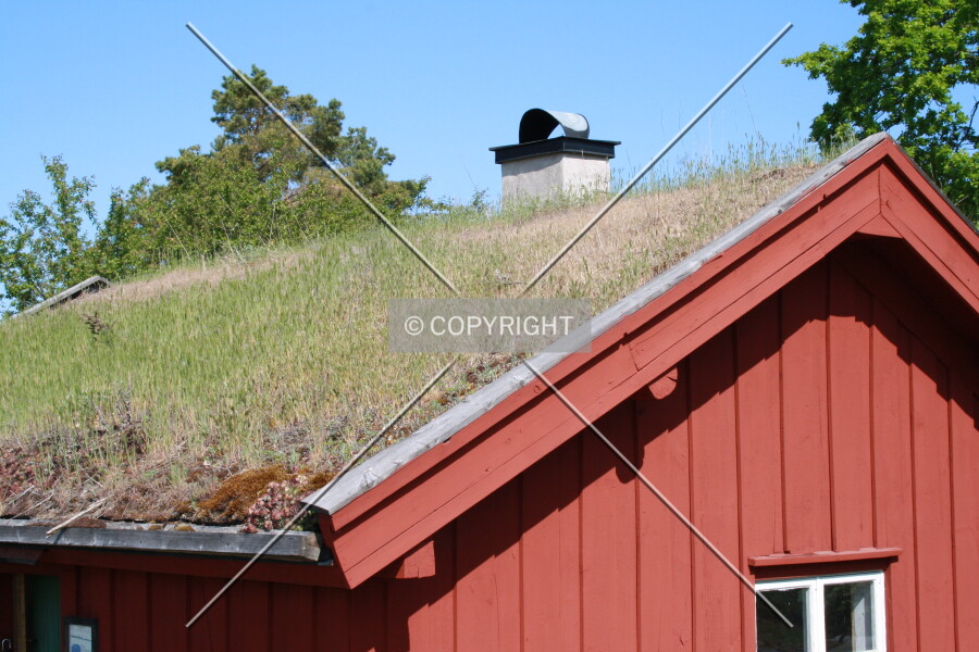 Photo 679-869-783