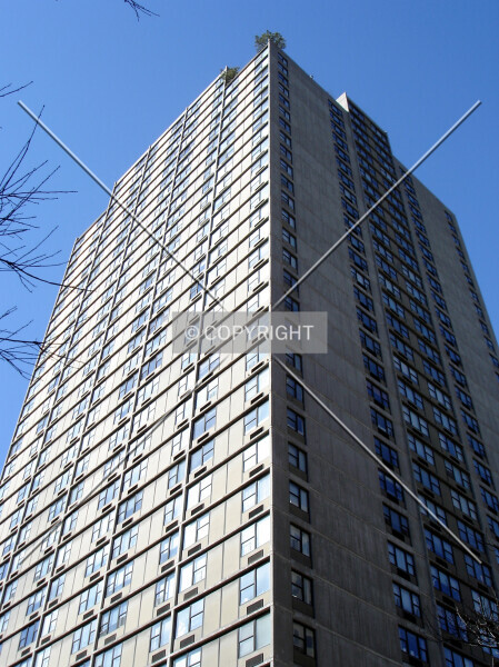 Photo 681-420-649