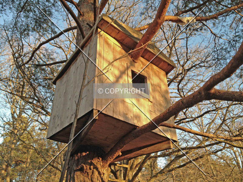 Photo 682-246-541
