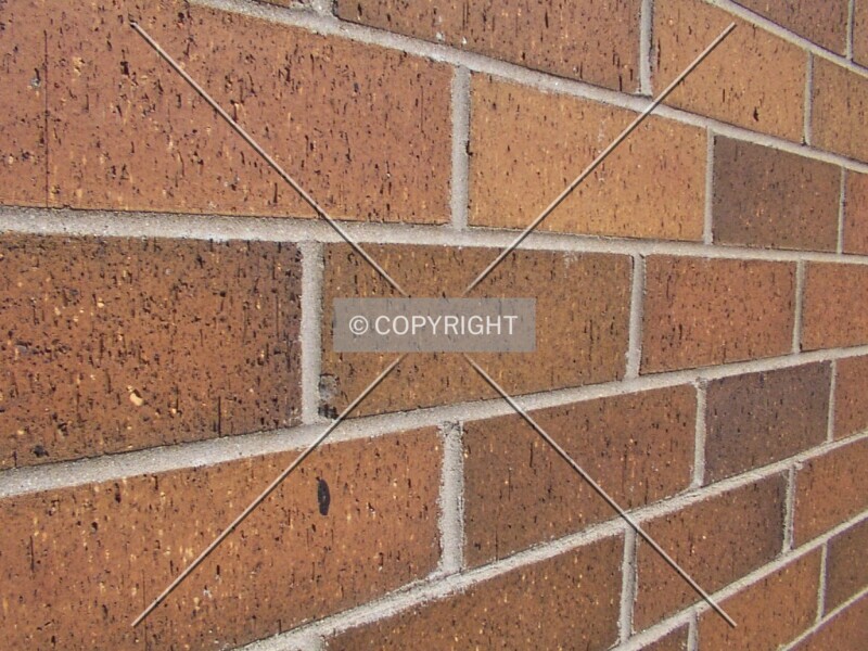 Photo 686-778-422