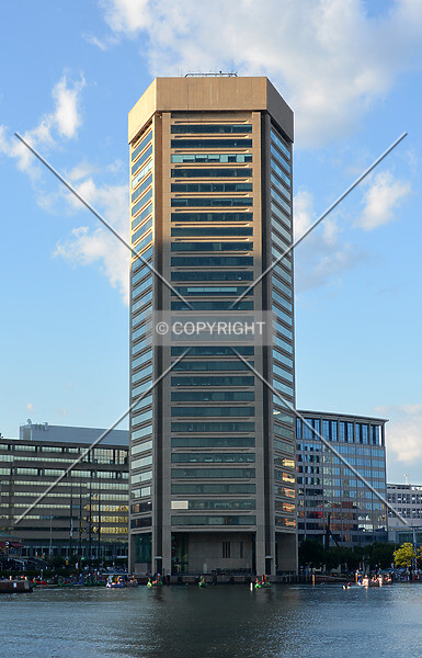 Photo 687-212-309
