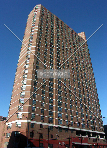 Photo 687-419-149