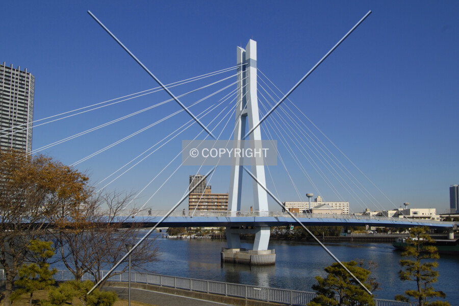 Photo 690-937-376
