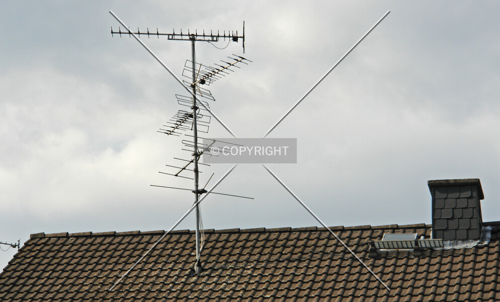 Photo 691-789-093