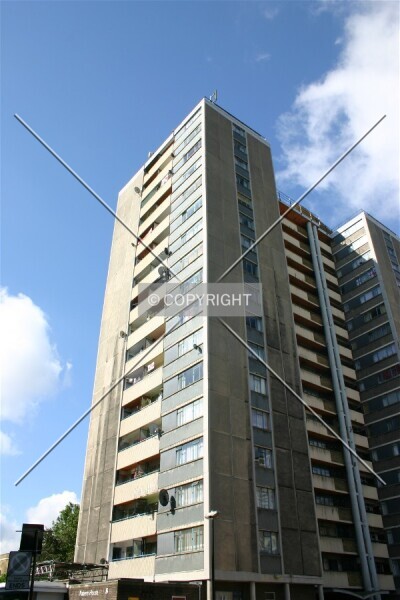 Photo 692-919-419